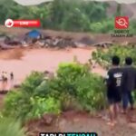 Minta pada pihak Kapolda di Aceh, agar tangkap loging di acaeh. 46a7564c-b2c1-4d48-95bc-8cb46157b919